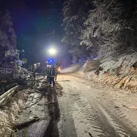 7a40318d-b3ea-4f69-878b-4f2875826077.jpeg